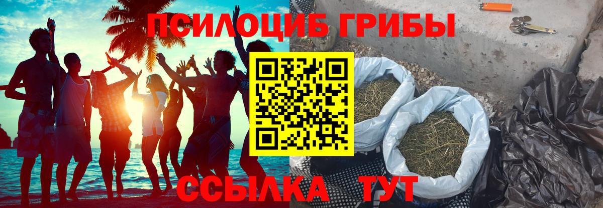 Астрахань  Псилоцибиновые грибы мицелий  Вход с VPN 