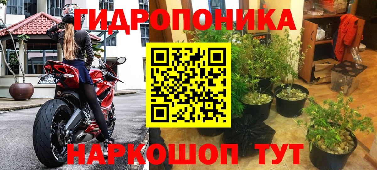 Конопля LSD WEED Астрахань